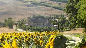 Maison d'art dans la nature