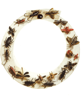 collier rodhoide insectes